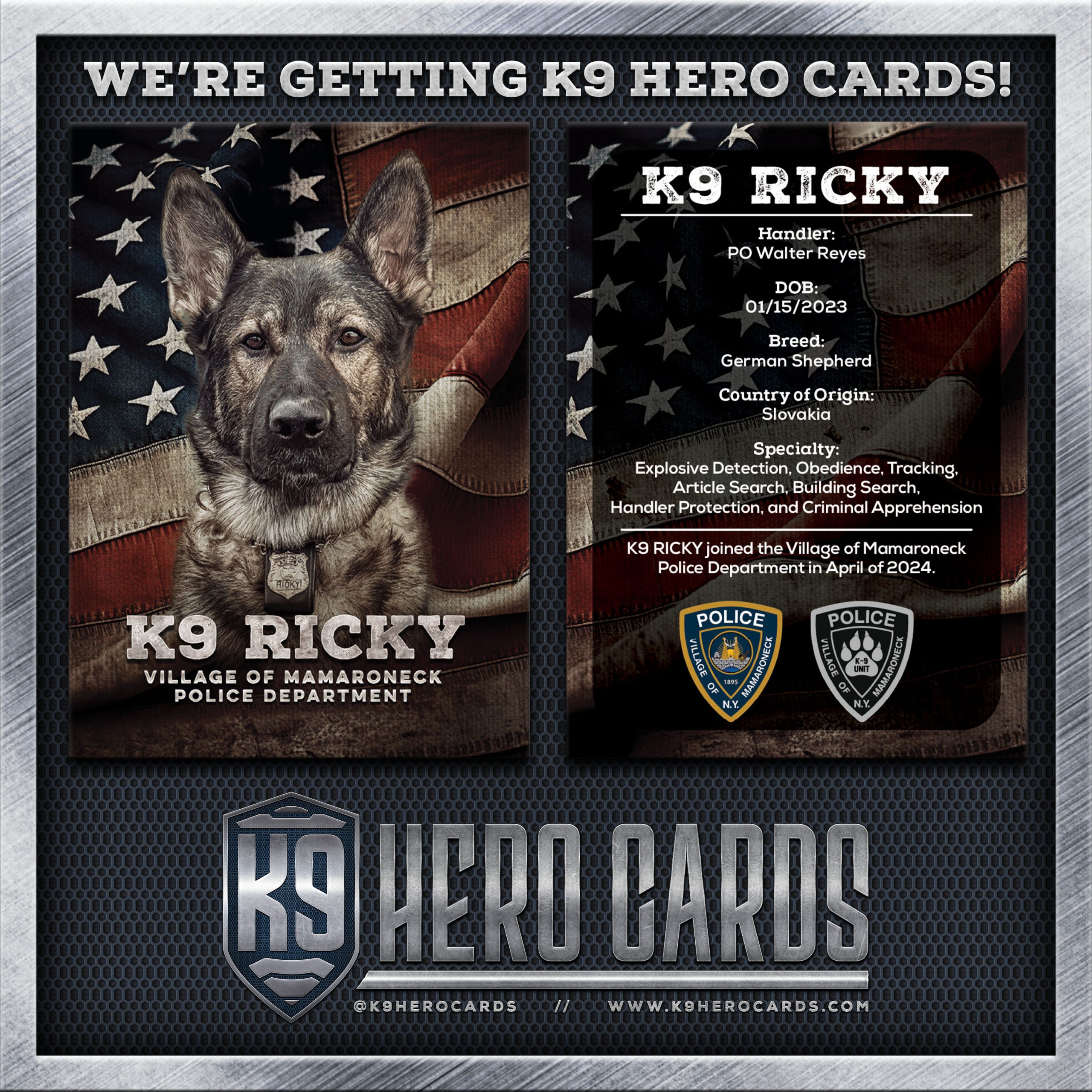 Meet Our K9 Heroes: VMPD K9 Trading Cards - Village of Mamaroneck